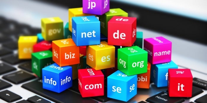 domain name registration